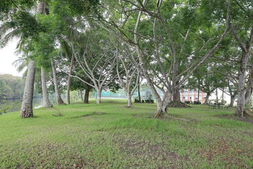 Hotel Plaza Palmas Tuxpan  Exterior photo